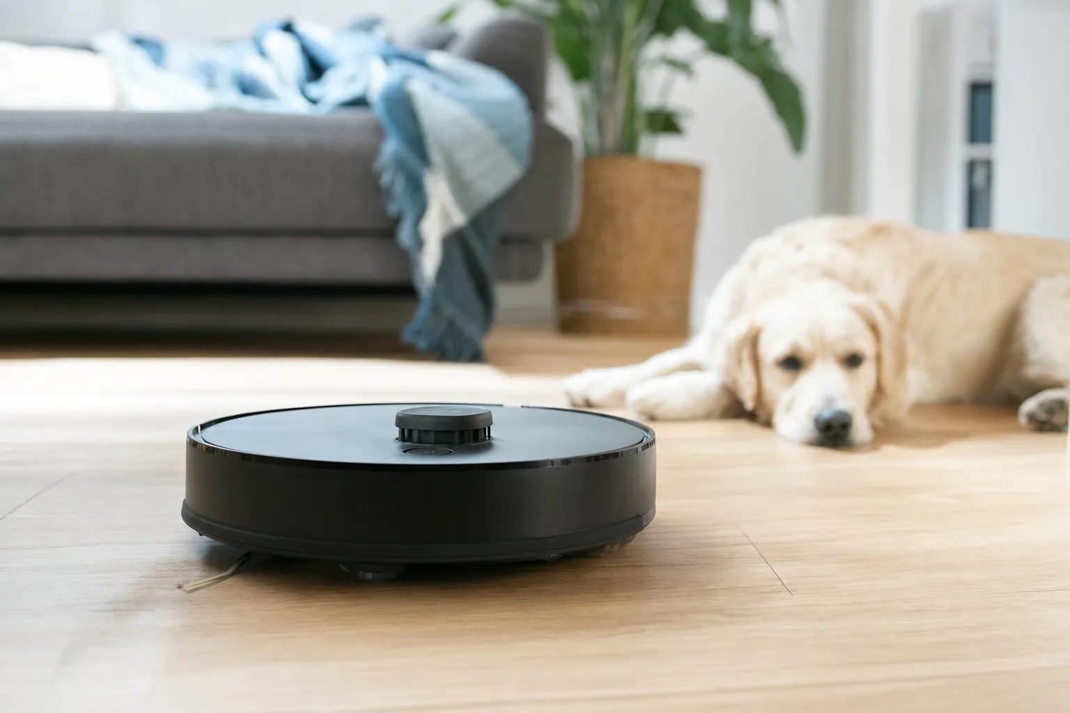 Les erreurs à éviter lors de l'achat d'un aspirateur robot laveur — Évaluer le Niveau de Bruit pour un Confort Optimal
