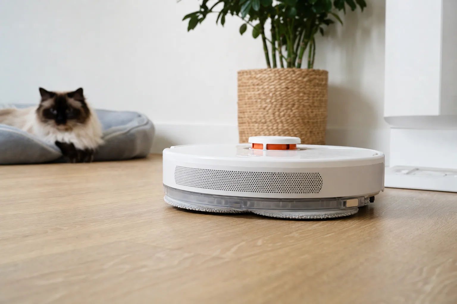 Le saviez-vous ? L'évolution des aspirateurs robots laveurs — Les pièges à éviter lors de l'achat d'un aspirateur robot laveur